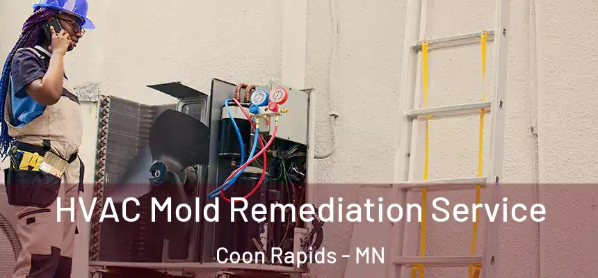 HVAC Mold Remediation Service Coon Rapids - MN