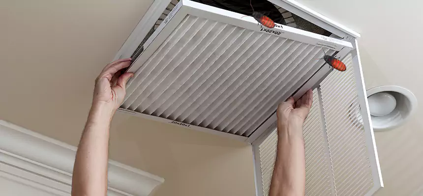 Preventive Cockroach-Proofing for Ducts in Coon Rapids