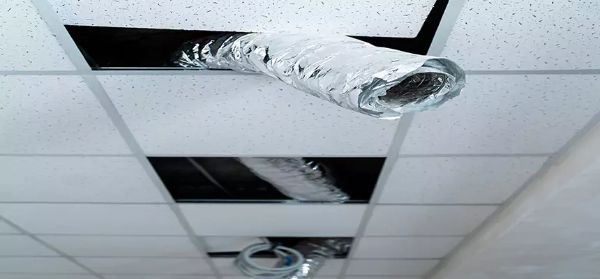 Our Air Duct Pet Hair Removal Services in Coon Rapids, MN