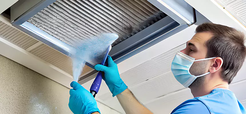 Proactive Dryer Vent & Auxiliary Duct Pollen Cleanup in Coon Rapids, MN