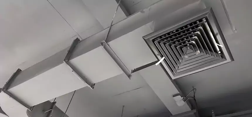 Restorative Allergy Relief Vent Cleaning – Coil, Blower & Housing Detail in Coon Rapids