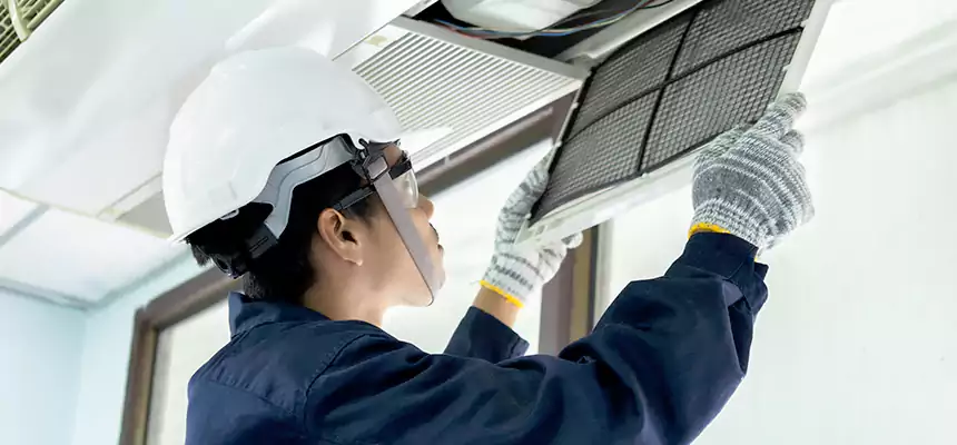 Our Mold & Mildew Removal from Air Ducts Services in Coon Rapids, MN