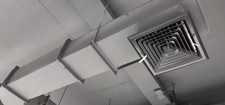 Our Pest Removal From Ducts Services in Coon Rapids, MN