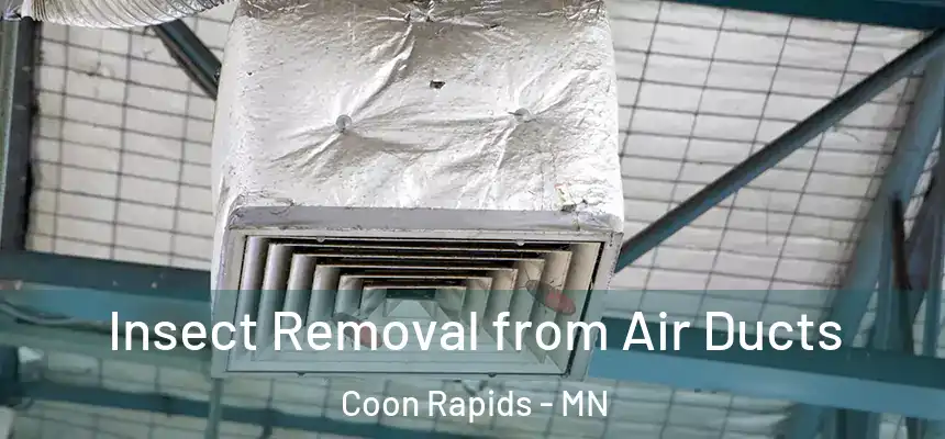  Insect Removal from Air Ducts Coon Rapids - MN