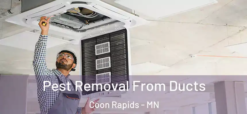  Pest Removal From Ducts Coon Rapids - MN