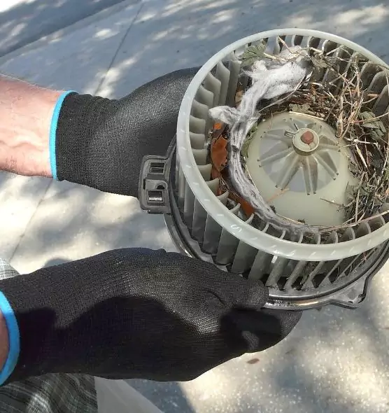 About Air Duct Mice Removal in Coon Rapids, MN