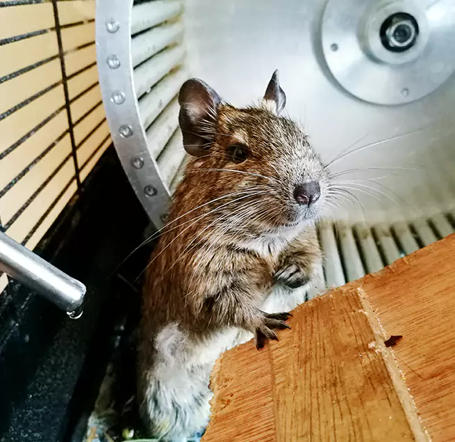 Why Homeowners & Businesses Trust Us Coon Rapids, MN?