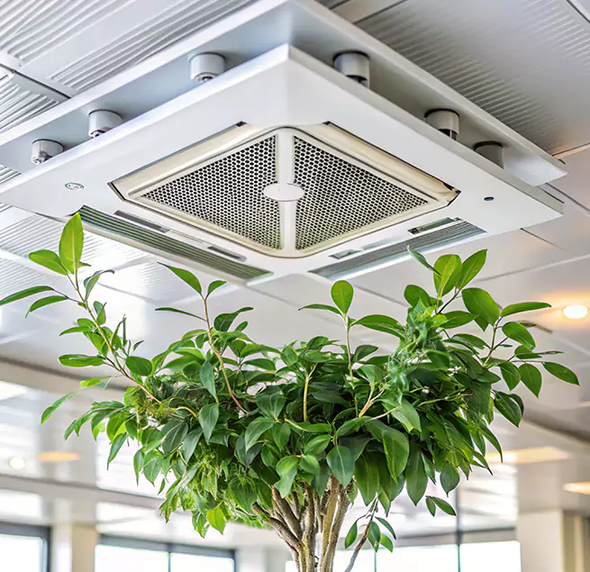 Why Homeowners & Businesses Trust Us in Coon Rapids, MN?